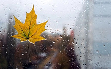 Дожди ожидаются в большинстве областей Узбекистана в среду