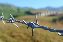 Узбекистан и Таджикистан провели переговоры по демаркации госграницы