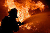 10680 пожаров зафиксировано в Узбекистане