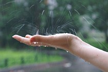 Почти на всей территории Узбекистана в четверг ожидаются дожди