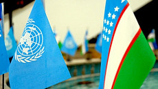 ЮНЕП изучает возможности учреждения странового офиса в Ташкенте