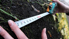 В Ташкенте выданы участки инвесторам для реализации проектов