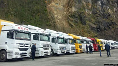 Фурам из Узбекистана удалось пройти грузино-турецкую границу