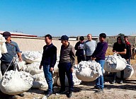 За день судьи в Самаркандской области более 1,6 тонны хлопка