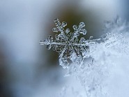 В понедельник лишь в нескольких областях Узбекистана ожидаются снег и туман