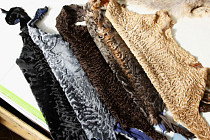 Узбекистан экспортирует в Турцию первую партию продукции из каракуля