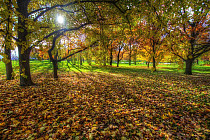 Жара до 30 градусов ожидается в большинстве областей Узбекистана в пятницу