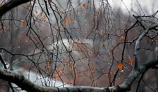 Осадки с понижением температуры ожидаются на всей территории Узбекистана во вторник