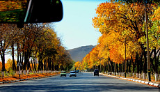 В пятницу на всей территории Узбекистана прогнозируется почти весенняя погода
