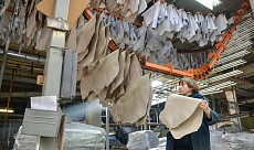 В Казахстане из-за дефицита сырья на грани закрытия десятки кожевенных заводов