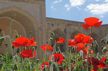 Погода без осадков сохранится на всей территории Узбекистана в воскресенье