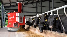 Голландская компания планирует создать в Узбекистане инновационный сельскохозяйственный кластер в 10 млн евро