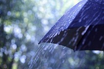 В ряде областей Узбекистана в понедельник прогнозируются дождь и гроза