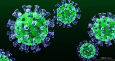 Эпидемия коронавируса лишь в феврале привела к экономическим потерям в $50 млрд – ЮНКТАД