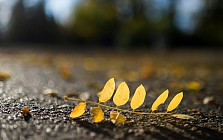 В Кашкадарьинской и Сурхандарьинской областях в среду температура воздуха прогреется до 23 градусов тепла