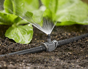 Узбекистан выделит субсидии использующим водосберегающие технологии фермерам