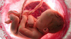 Ученые из РФ и США разработали метод для своевременного выявления отклонений у плода