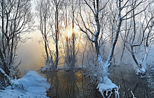В среду на всей территории Узбекистана синоптики прогнозируют туманную погоду без осадков