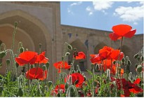 С пятницы средняя температура на всей территории Узбекистана начнет повышаться