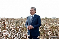 Все хлопковые поля Сурхандарьи планируется охватить текстильными кластерами к концу 2020 года