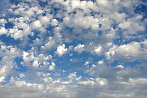 В среду на всей территории Узбекистана синоптики прогнозируют переменную облачность