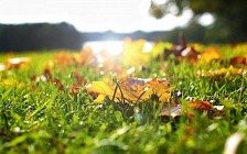 Погода без осадков сохранится на всей территории Узбекистана в субботу