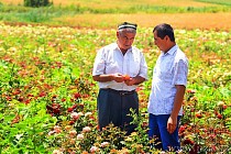 Советы фермерских, дехканских хозяйств и владельцев приусадебных земель в Узбекистане наделили надзорными полномочиями