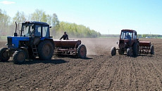В Узбекистане создали Агентство по реализации проектов в области агропромышленного комплекса и продовольственного обеспечения