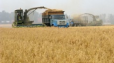 Узбекским фермерам заморозили долги на три года и снизили проценты по кредитам