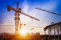 В Узбекистане для работников лесного хозяйства построят доступное жилье