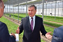 Мирзиеев в Сырдарьинской области посетил СП «Бек кластер»