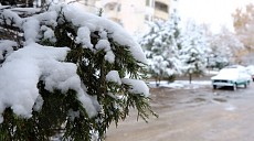 На большей территории Узбекистана в субботу ожидаются снег и мороз