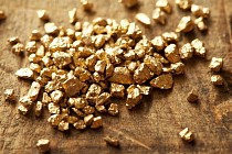 Золотодобывающая компания Канады обсуждает проекты с Узбекистаном