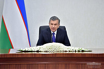 Мирзиеев раскритиковал работу компаний в нефтегазовой и химической отрасли