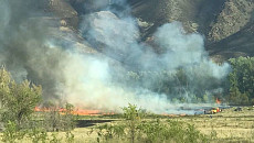 Пожар из России перекинулся на территорию Казахстана