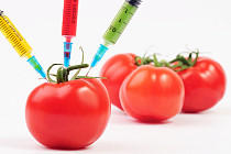 В Узбекистане планируют создать две научные лаборатории для определения товаров с ГМО