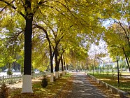 В понедельник на всей территории Узбекистана ожидается погода без осадков