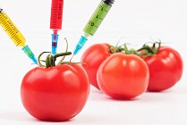 Ўзбекистонда ГМОли товарларни аниқлаш учун икки илмий лаборатория ташкил этиш режалаштирилмоқда  