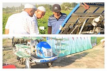 В Узбекистане внедрят новые технологии для выращивания риса