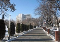 Во всем Узбекистане ожидается потепление 1 февраля