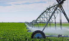 В Намангане создан агропромышленный кластер