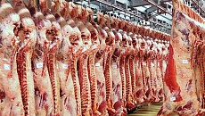 Казахстан не смог достичь планируемых показателей по экспорту мяса из-за приписок прежних лет