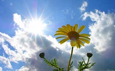 До 38 градусов прогреется воздух в Каракалпакстане и Хорезмской области во вторник